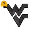 WV Embroidery 3DPuff Logo For Cap.