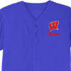 Badgers Embroidery logo for Jersey .