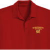 Wisconson Badgers Embroidery logo for Polo Shirt .