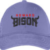 Bison 3d puff Embroidery logo for Cap .
