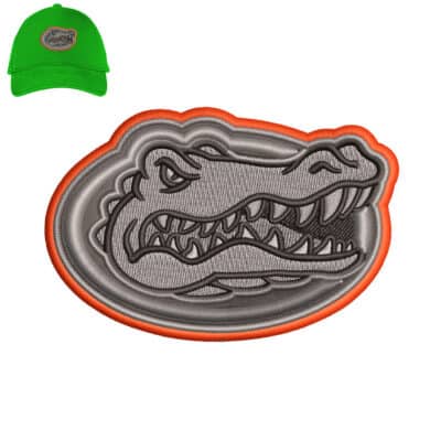 Florida 3d puff Embroidery logo for Cap .