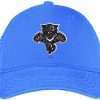 Florida Panthers 3dpuff Embroidery logo for Cap .