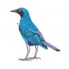 Effect Bird Embroidery logo .